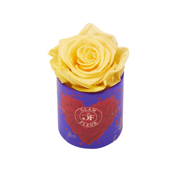 Orange Lacoma Long Lasting Rose in Uno Box