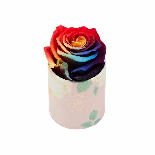 Raspberry Splash Long Lasting Rose in Uno Box