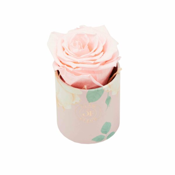 Baby Pink Long Lasting Rose in Uno Box