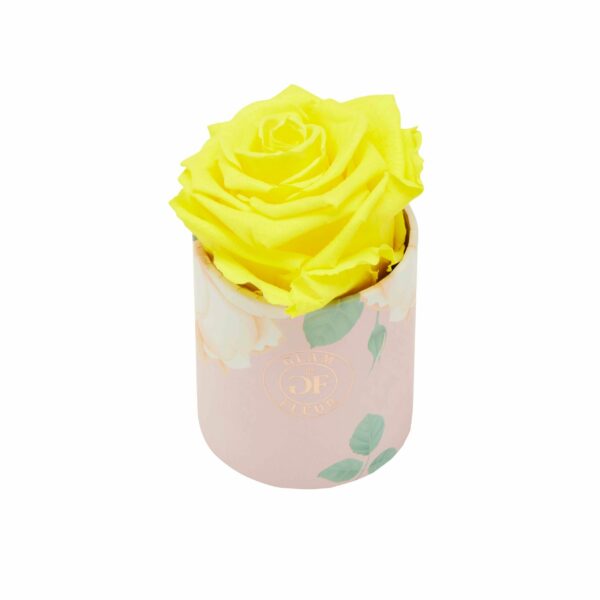 Yellow Long Lasting Rose in Uno Box