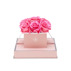 Pretty in Pink Roses That Last a Year - Glam Fleur®