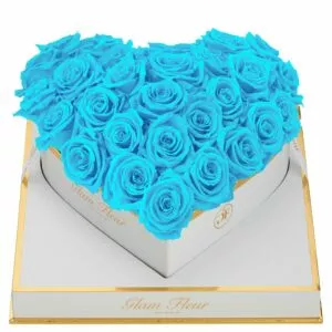 Blanche Heart Baby Blue Preserved Roses