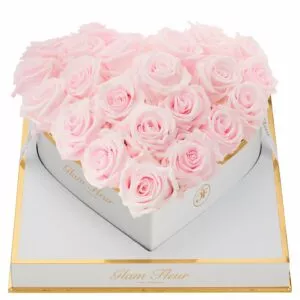 Blanche Heart Baby Pink Preserved Roses