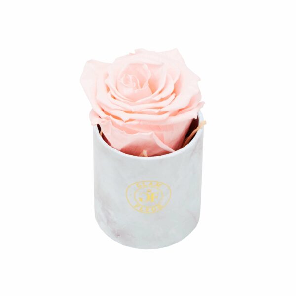 Baby Pink Long Lasting Rose in Uno Box