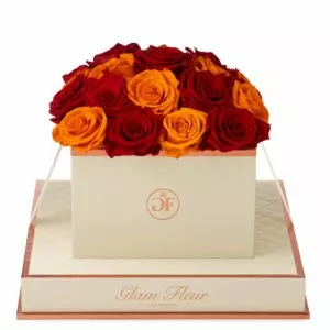 Preserved Red and Orange Roses That Last a Year